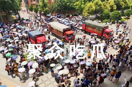 吃瓜高校资源,资源整合下的校园生活新风尚