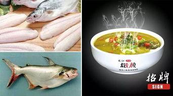 鱼夫吃瓜,一场与自然的味蕾邂逅