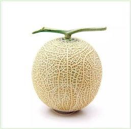 小楠瓜吃瓜群众,瓜界新宠,吃瓜群众的热议焦点