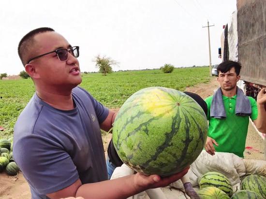 每日吃瓜156,揭秘娱乐圈幕后故事
