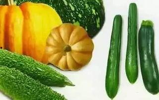 夏日吃瓜风景,清凉一夏风景线