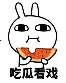 吃瓜fancy-林傻傻