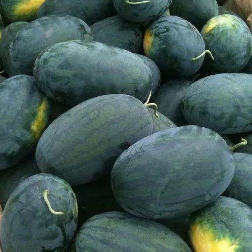 真实缅北吃瓜图片高清,揭秘真实缅北街头美食盛宴