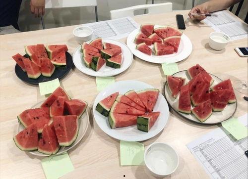 吃瓜三百万粉丝,三百万粉丝见证吃瓜传奇