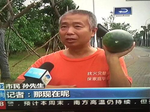 热门事件吃瓜河北,吃瓜群众热议，揭秘背后真相