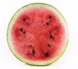 科学吃瓜图片,营养与美味的完美融合