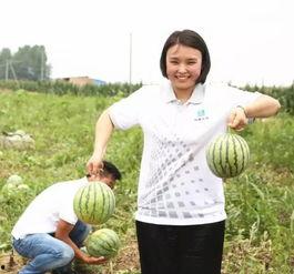 三局吃瓜,揭秘娱乐圈背后的精彩故事